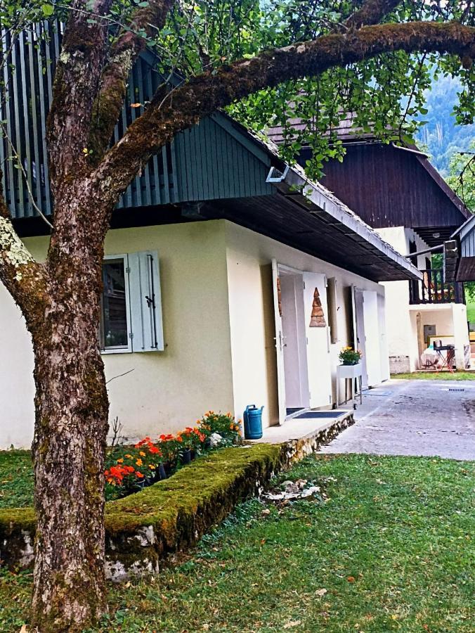Cozy Cottage In The Heart Of The Triglav National Park Soča Exterior foto